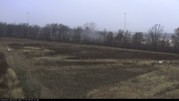 Cell 2_23-11-28_09-52-15-84