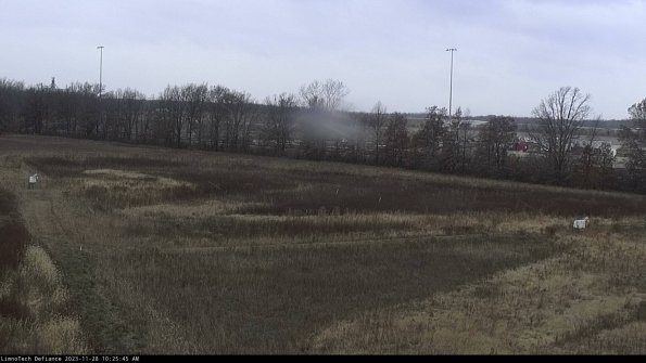 Cell 2_23-11-28_10-25-45-78