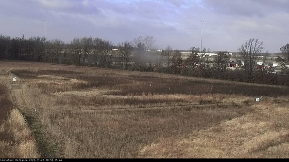 Cell 2_23-11-28_10-59-15-86