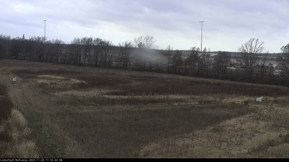 Cell 2_23-11-28_11-32-44-81