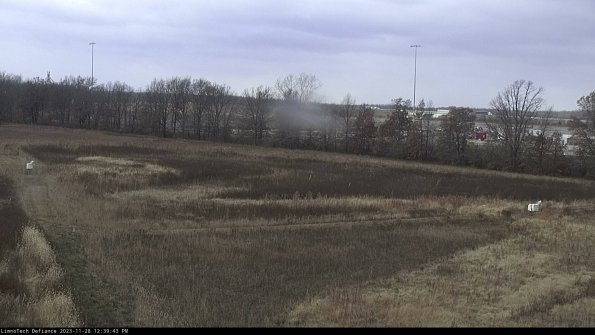 Cell 2_23-11-28_12-39-43-83