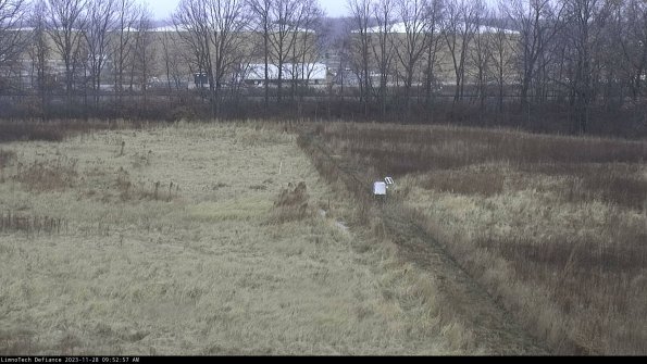 Cell 3 to 4_23-11-28_09-52-57-81