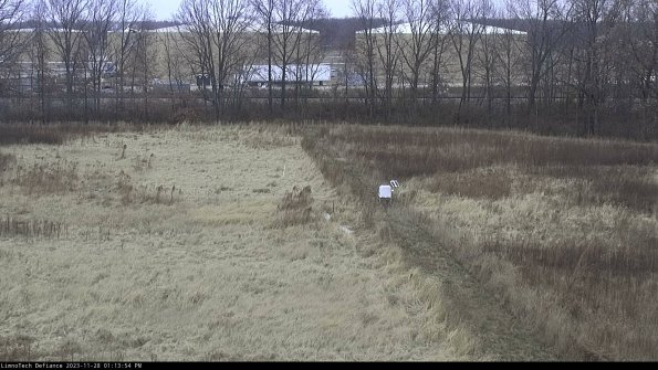 Cell 3 to 4_23-11-28_13-13-54-78