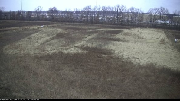 Cell 3_23-11-28_07-38-46-79