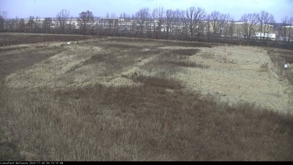 Cell 3_23-11-28_09-19-13-79