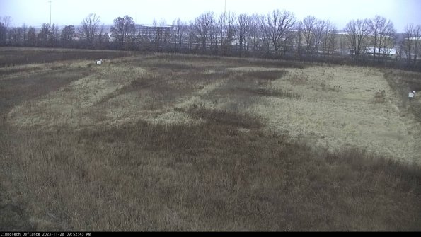 Cell 3_23-11-28_09-52-43-80