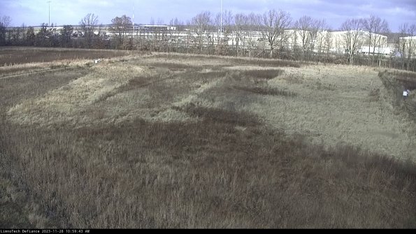 Cell 3_23-11-28_10-59-43-79