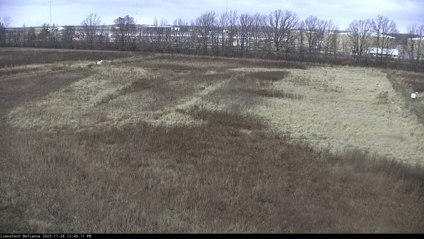 Cell 3_23-11-28_12-40-11-79