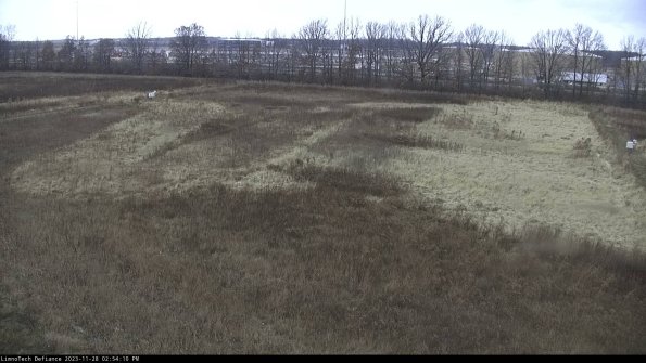 Cell 3_23-11-28_14-54-10-77