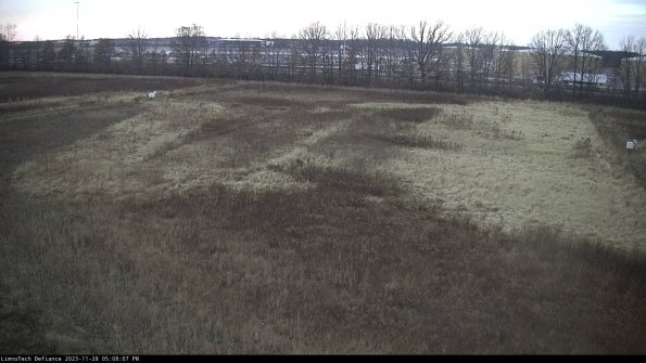 Cell 3_23-11-28_17-08-08-02