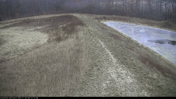 Cell 4 to Basin_23-11-28_08-13-13-76