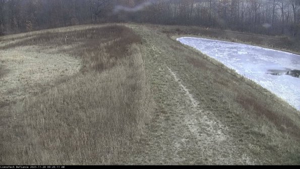 Cell 4 to Basin_23-11-28_09-20-11-81