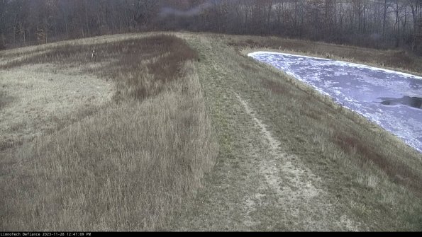 Cell 4 to Basin_23-11-28_12-41-09-82