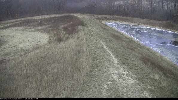 Cell 4 to Basin_23-11-28_16-35-36-80