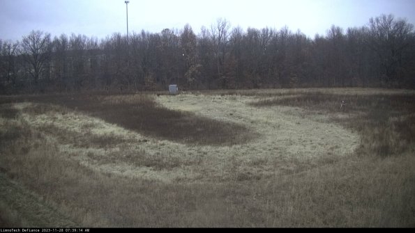 Cell 4_23-11-28_07-39-14-79