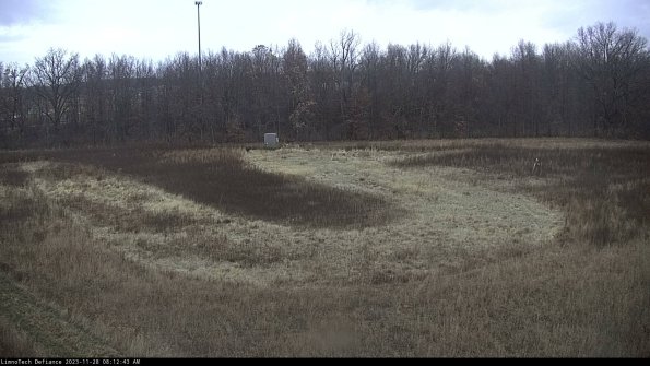 Cell 4_23-11-28_08-12-43-76