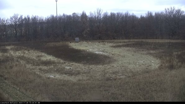 Cell 4_23-11-28_10-26-41-81