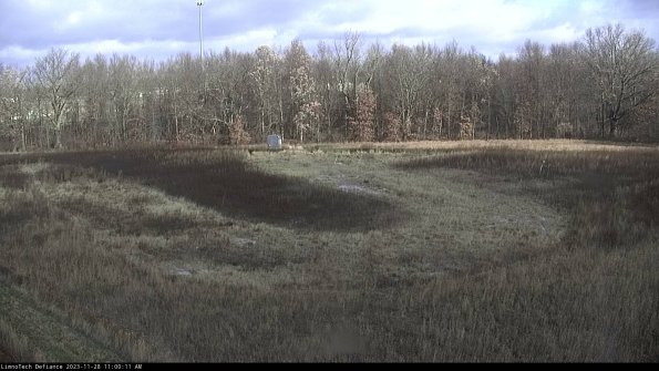 Cell 4_23-11-28_11-00-11-78