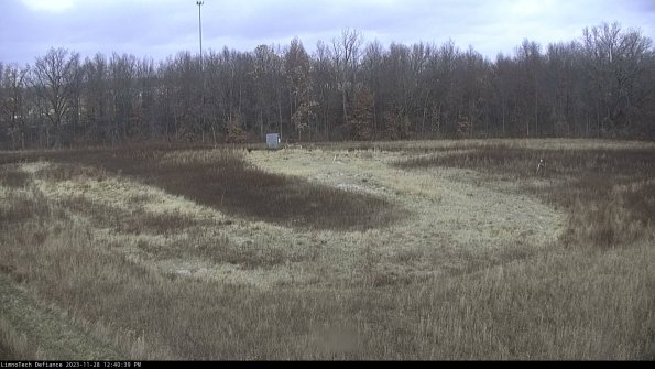 Cell 4_23-11-28_12-40-39-79