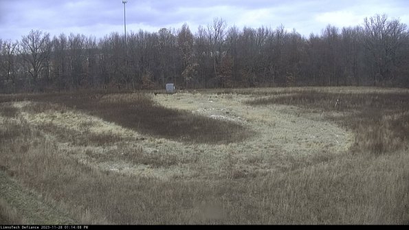 Cell 4_23-11-28_13-14-08-76