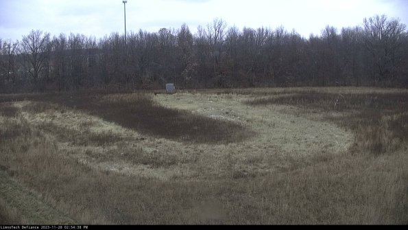 Cell 4_23-11-28_14-54-38-80