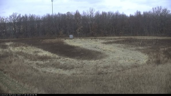 Cell 4_23-11-28_15-28-08-78