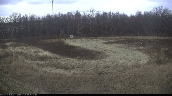 Cell 4_23-11-28_16-35-06-80