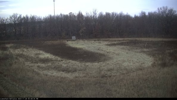 Cell 4_23-11-28_17-08-35-78