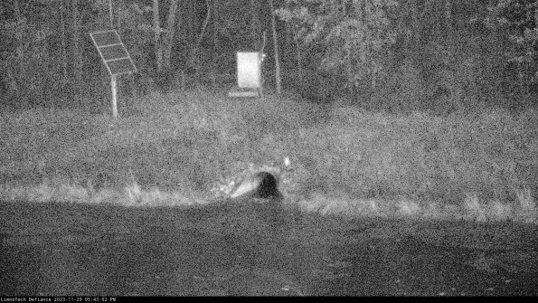 Basin Inflow_23-11-29_17-43-02-80