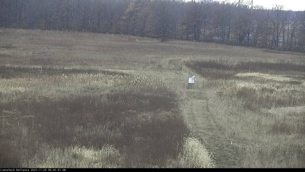 Cell 1 to 2_23-11-29_08-45-07-80