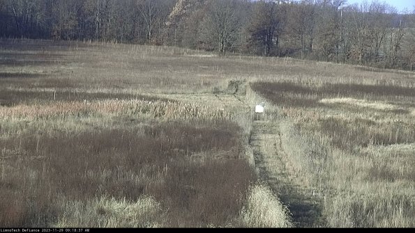 Cell 1 to 2_23-11-29_09-18-37-78