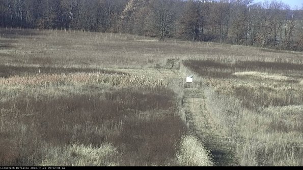 Cell 1 to 2_23-11-29_09-52-06-79