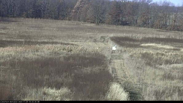 Cell 1 to 2_23-11-29_10-25-36-78