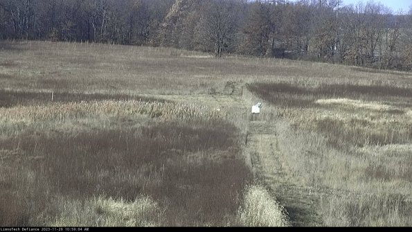 Cell 1 to 2_23-11-29_10-59-04-79