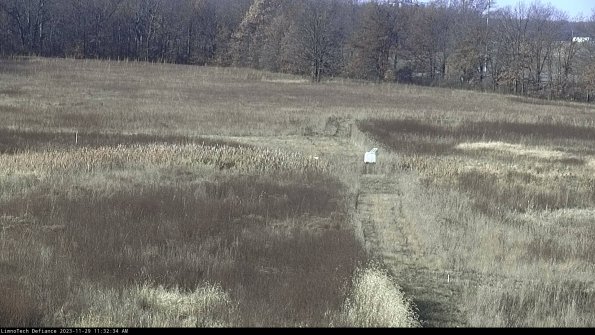 Cell 1 to 2_23-11-29_11-32-34-77