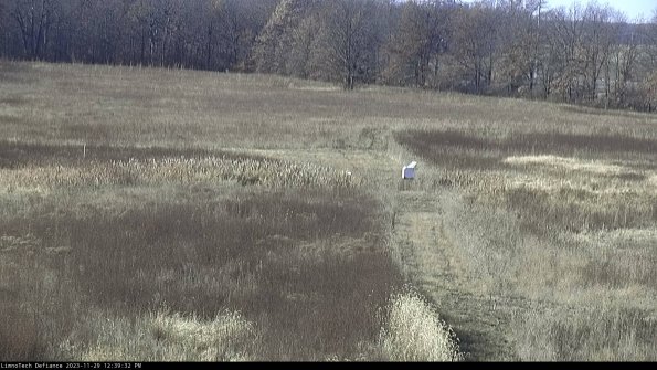 Cell 1 to 2_23-11-29_12-39-32-77