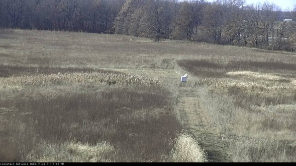 Cell 1 to 2_23-11-29_13-13-01-78