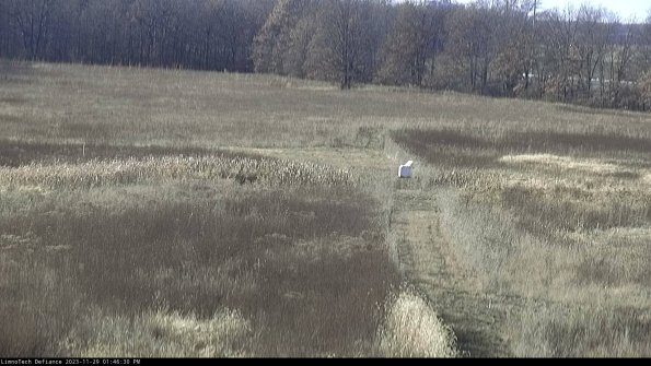 Cell 1 to 2_23-11-29_13-46-30-80