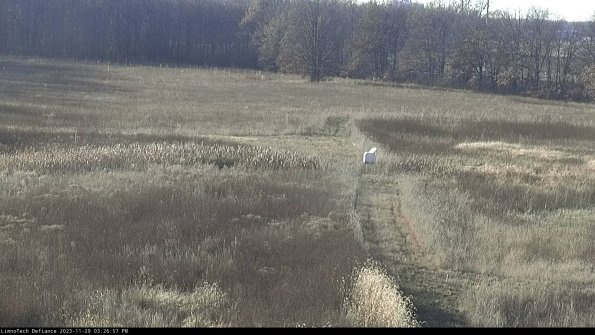 Cell 1 to 2_23-11-29_15-26-57-78