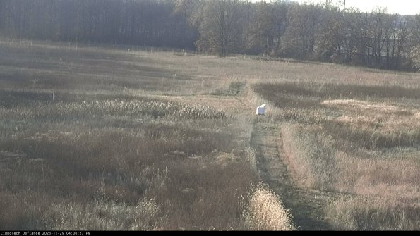 Cell 1 to 2_23-11-29_16-00-27-77