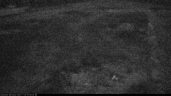 Cell 1_23-11-29_07-04-26-79