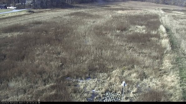 Cell 1_23-11-29_10-25-22-76