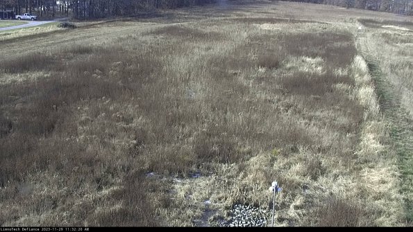 Cell 1_23-11-29_11-32-20-76