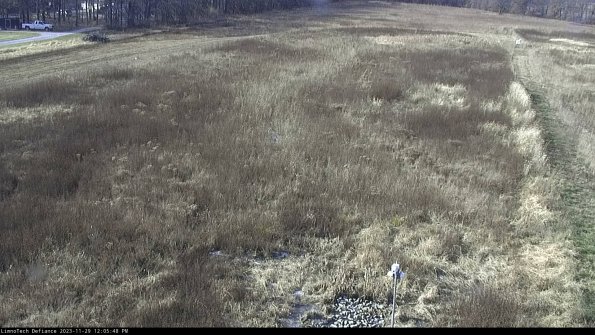 Cell 1_23-11-29_12-05-48-80