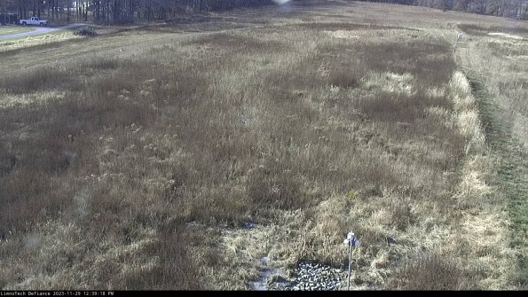 Cell 1_23-11-29_12-39-18-79