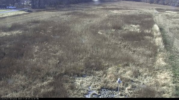 Cell 1_23-11-29_13-12-47-77