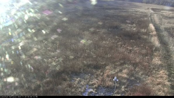 Cell 1_23-11-29_16-00-13-78