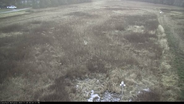 Cell 1_23-11-29_17-07-11-78