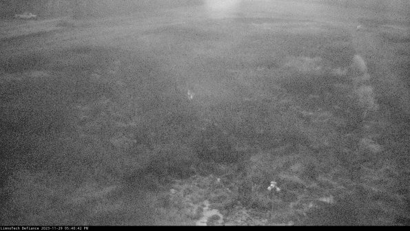 Cell 1_23-11-29_17-40-42-80