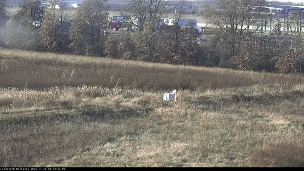 Cell 2 to 3_23-11-29_16-00-53-96